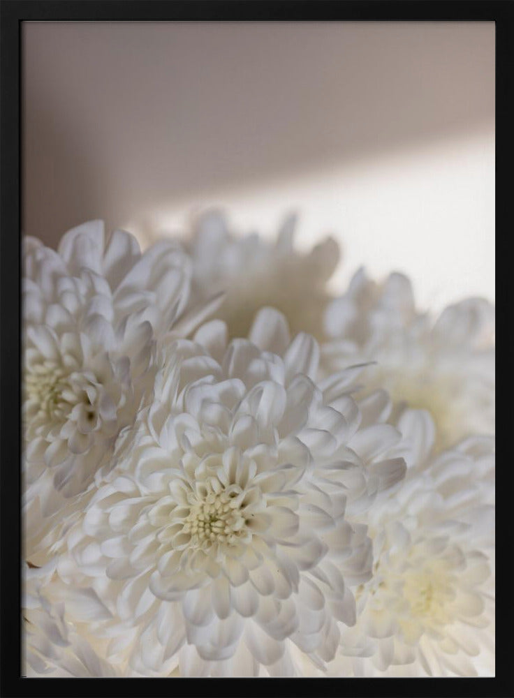 White Flowers 6 | Poster