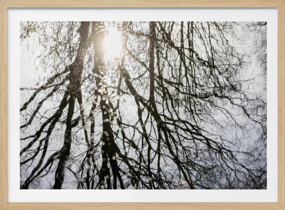 Winter Reflections 3 | Poster