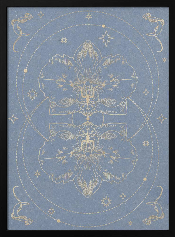 The mystical orchid | Poster