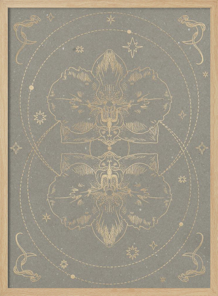 The mystical orchid | Poster