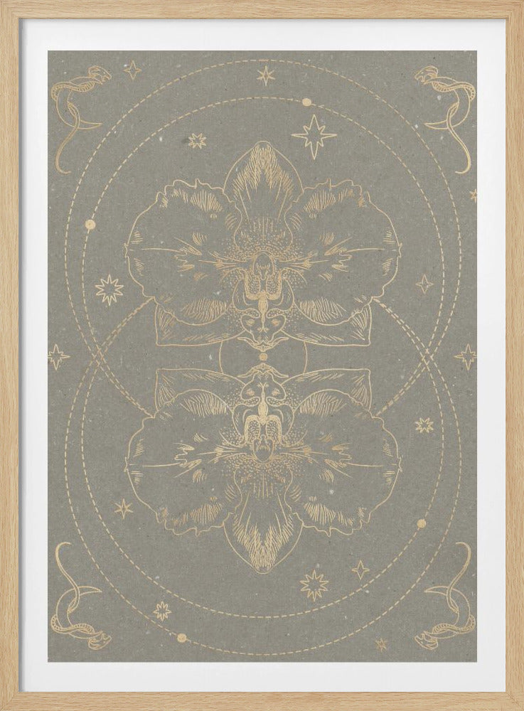 The mystical orchid | Poster