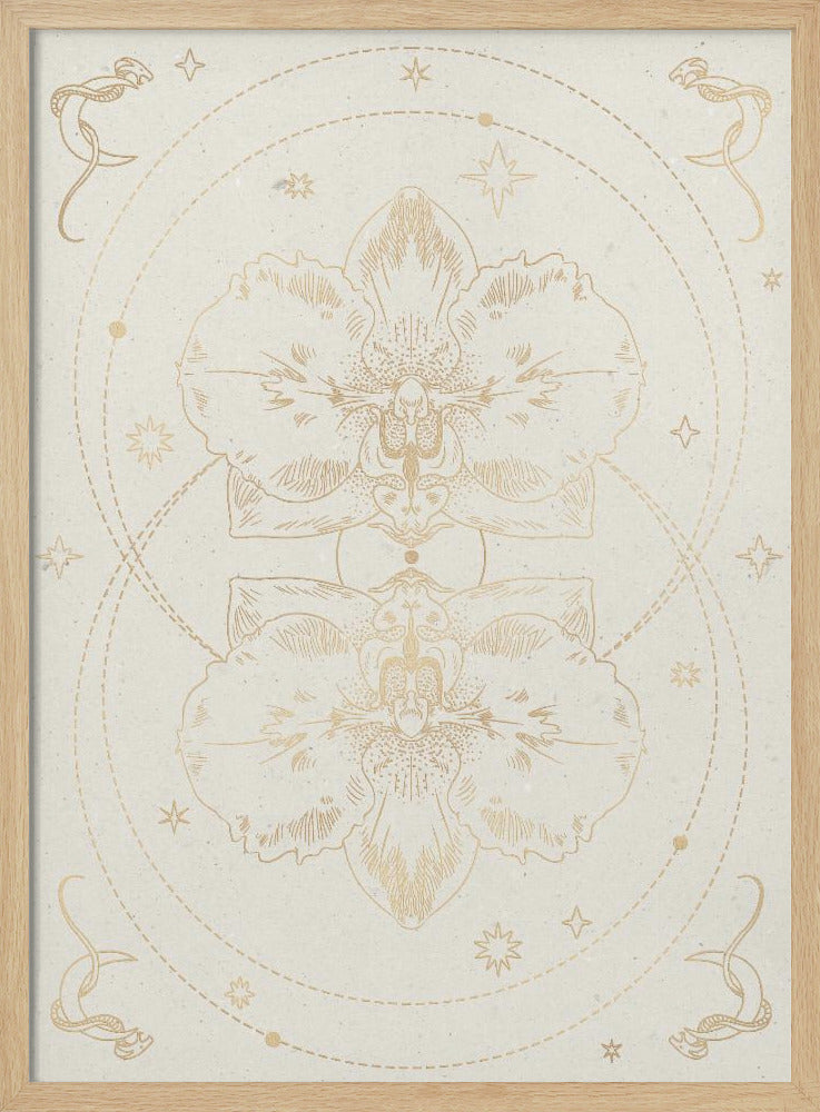 The mystical orchid | Poster