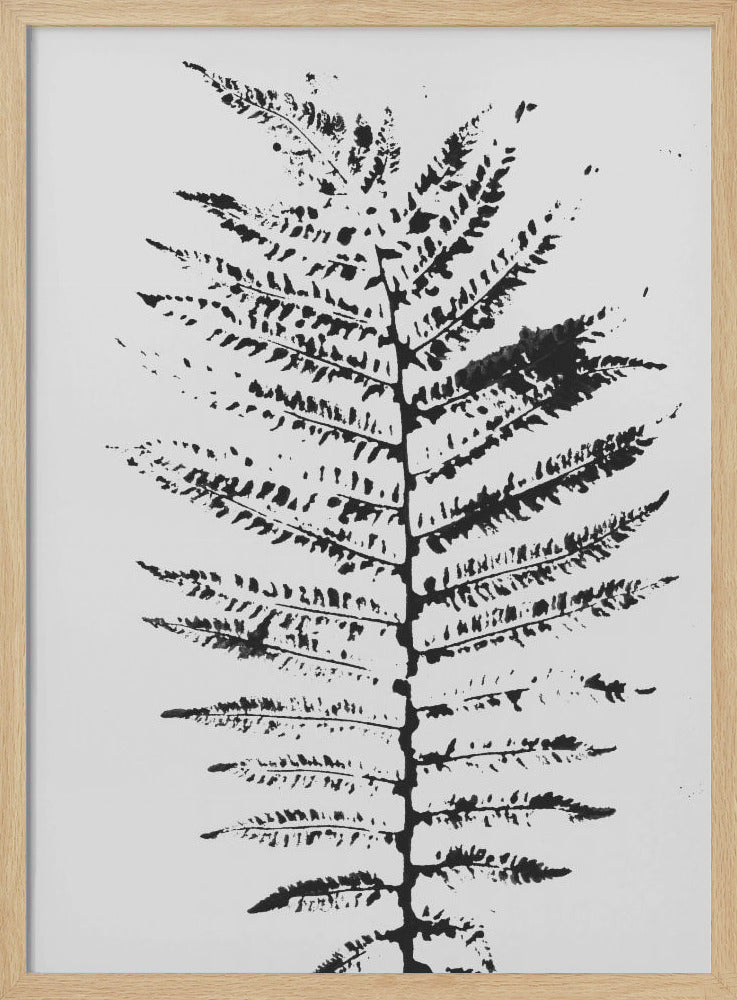 Ferns Iii | Poster