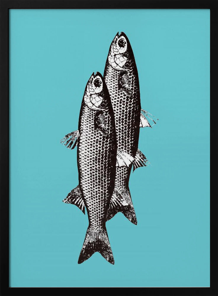 Sardinas | Poster