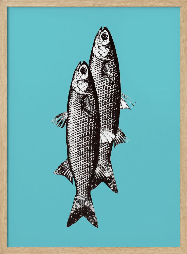 Sardinas | Poster