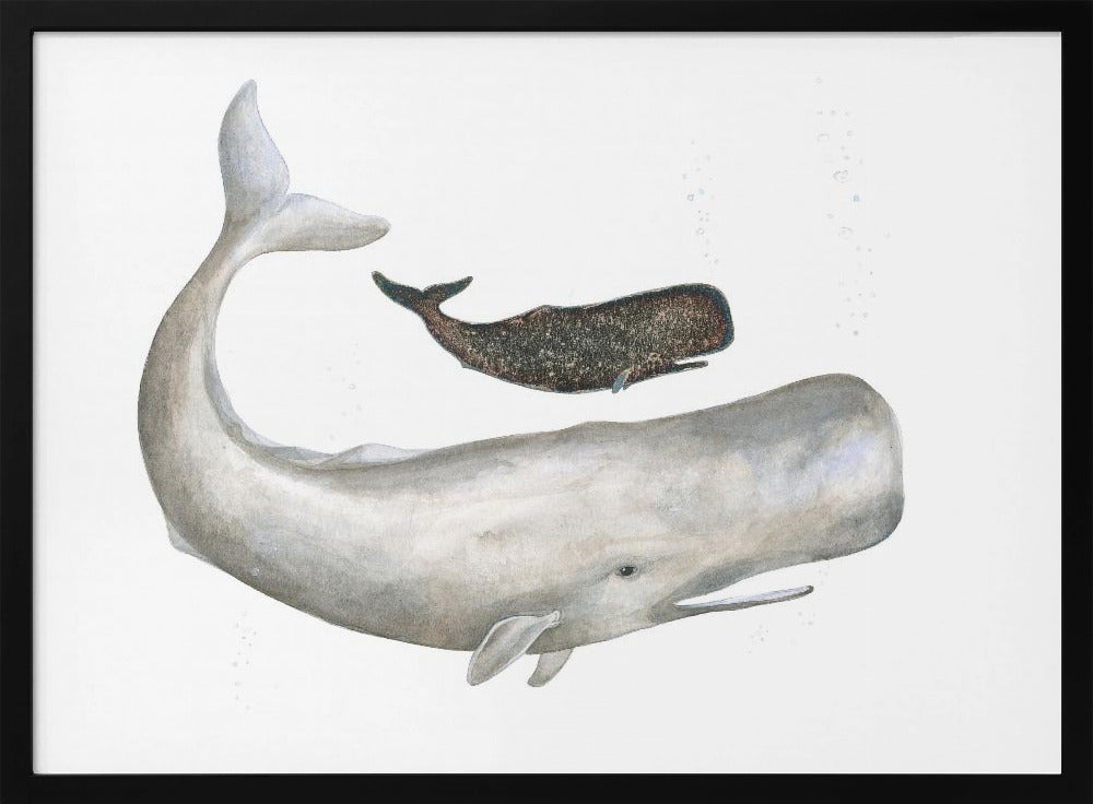 Gentle Ocean Giants | Poster