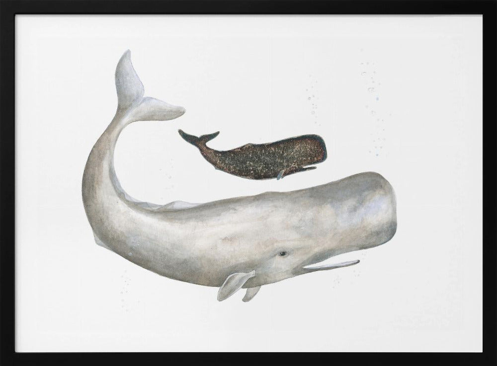 Gentle Ocean Giants | Poster