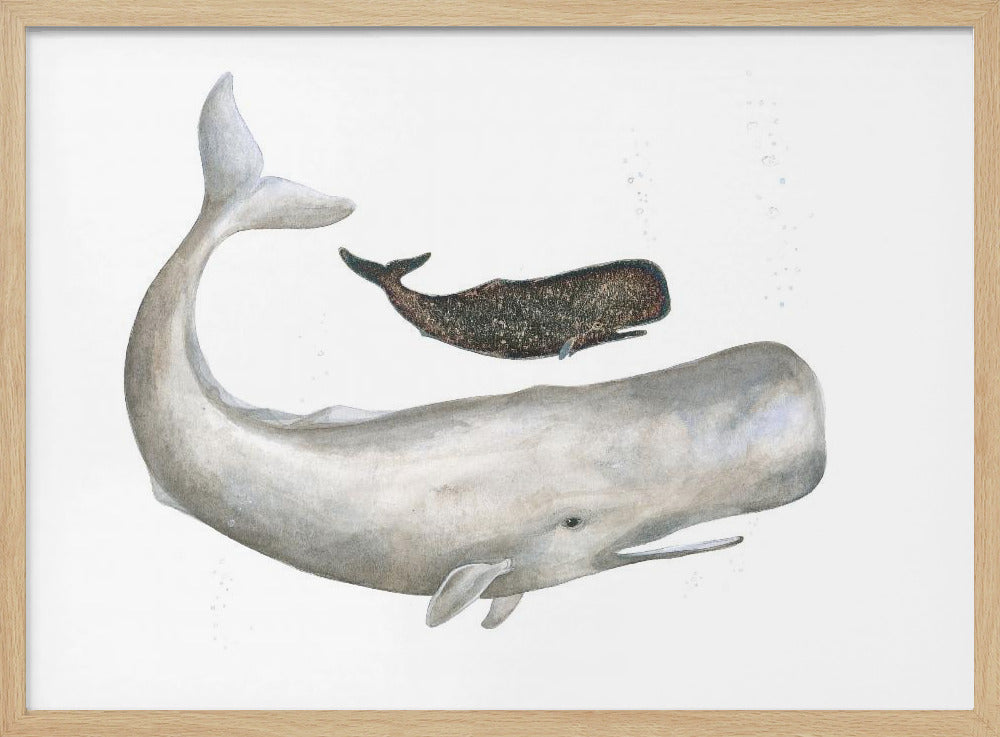 Gentle Ocean Giants | Poster