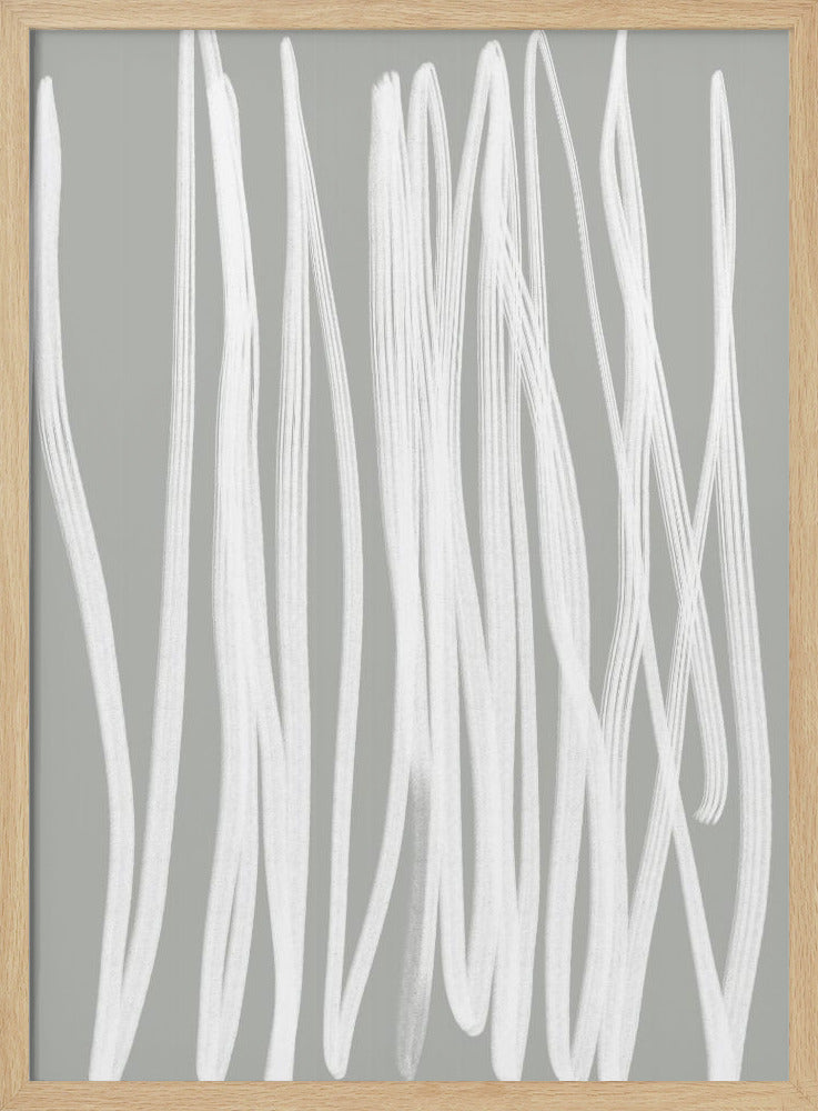 White Linear Strokes | Poster
