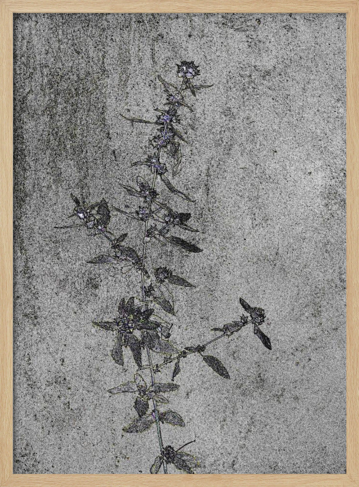 Concrete Blossoms | Poster