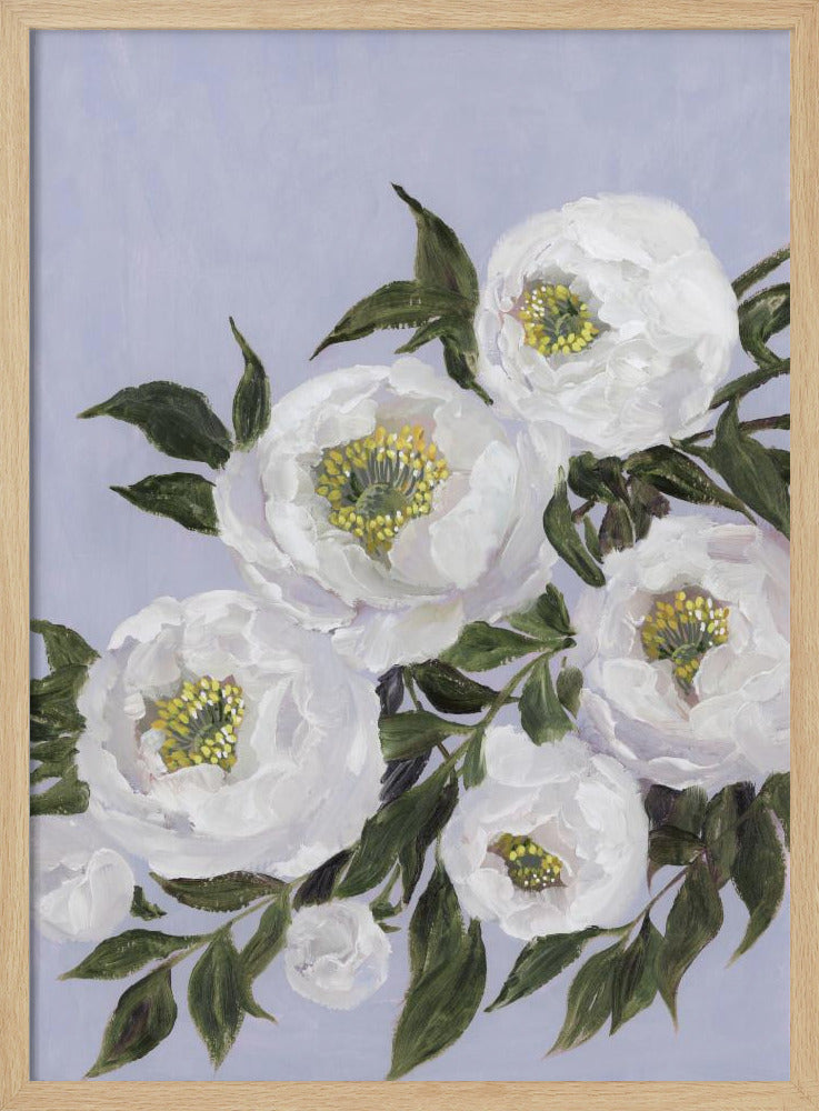 Evadne peonies in lilac | Poster