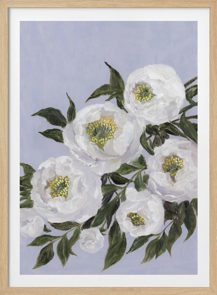 Evadne peonies in lilac | Poster