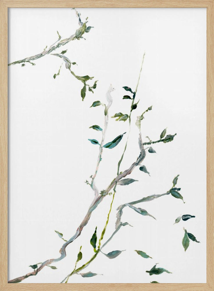Botanical Branches No2 | Poster