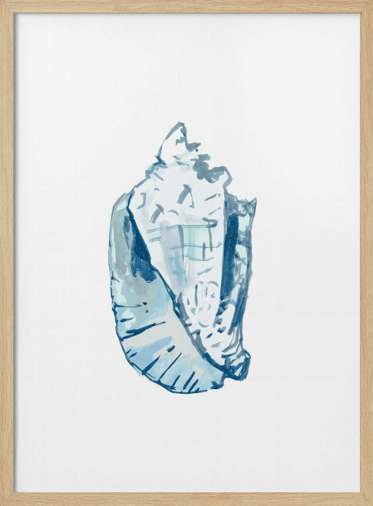Blue Seashell On White Background No6 | Poster