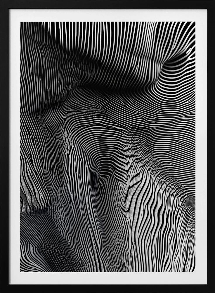 Zebra Flowform | Poster