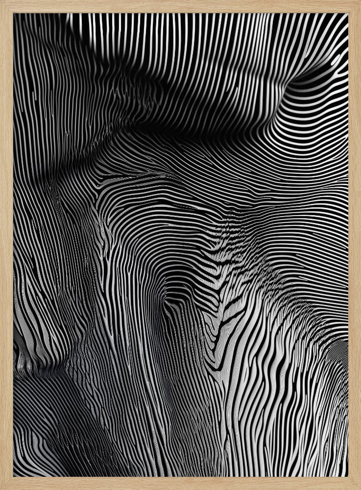 Zebra Flowform | Poster