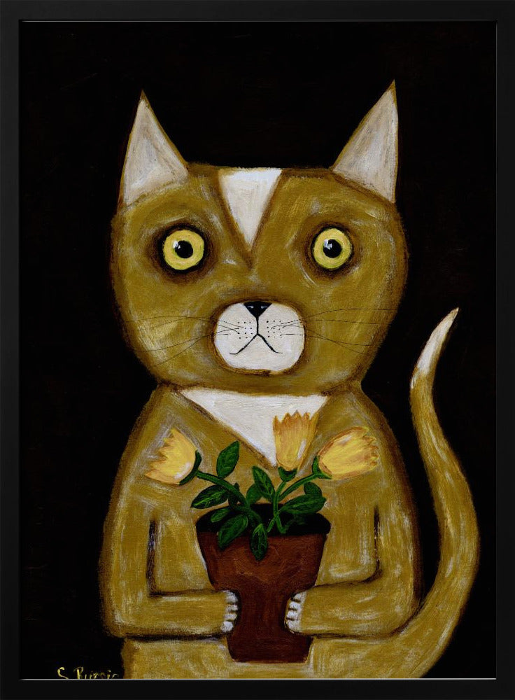Pot Plant Cat black background | Poster