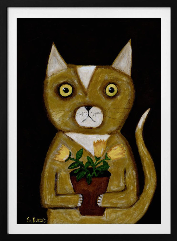 Pot Plant Cat black background | Poster