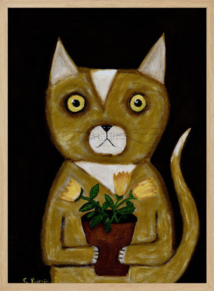 Pot Plant Cat black background | Poster