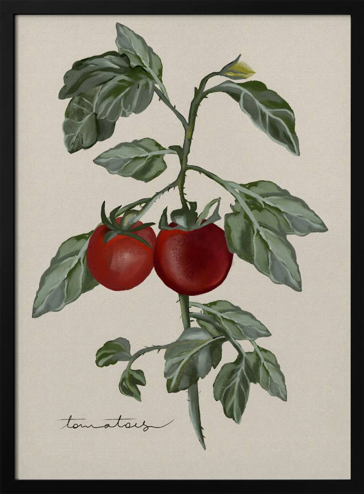 Vintage Garden | Poster