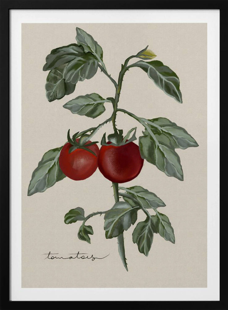 Vintage Garden | Poster