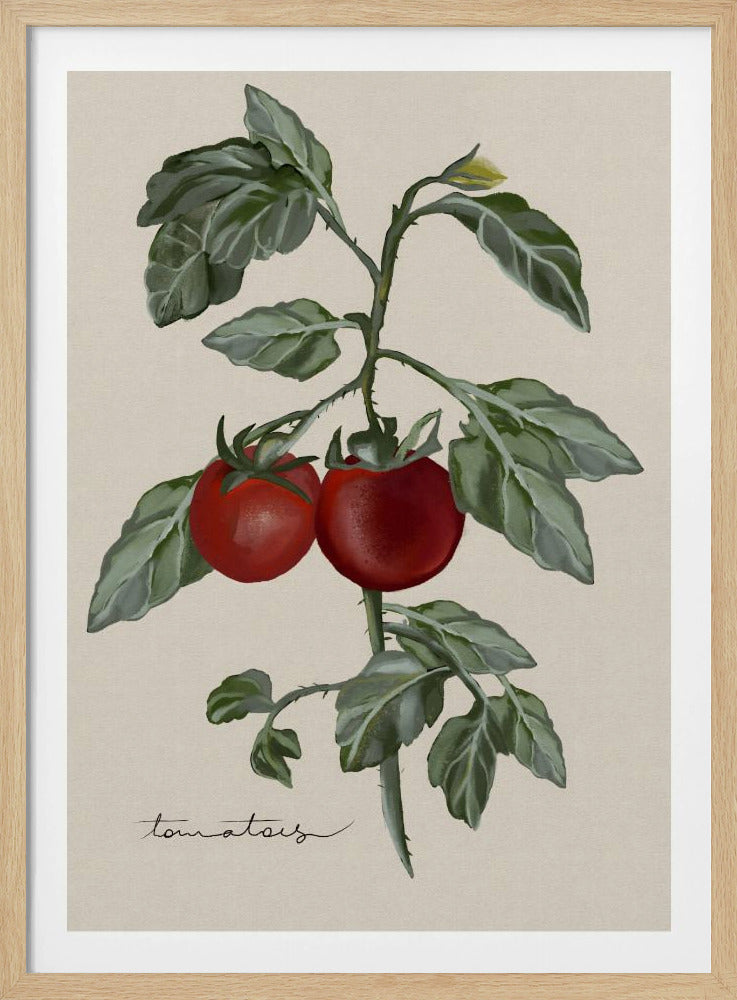 Vintage Garden | Poster