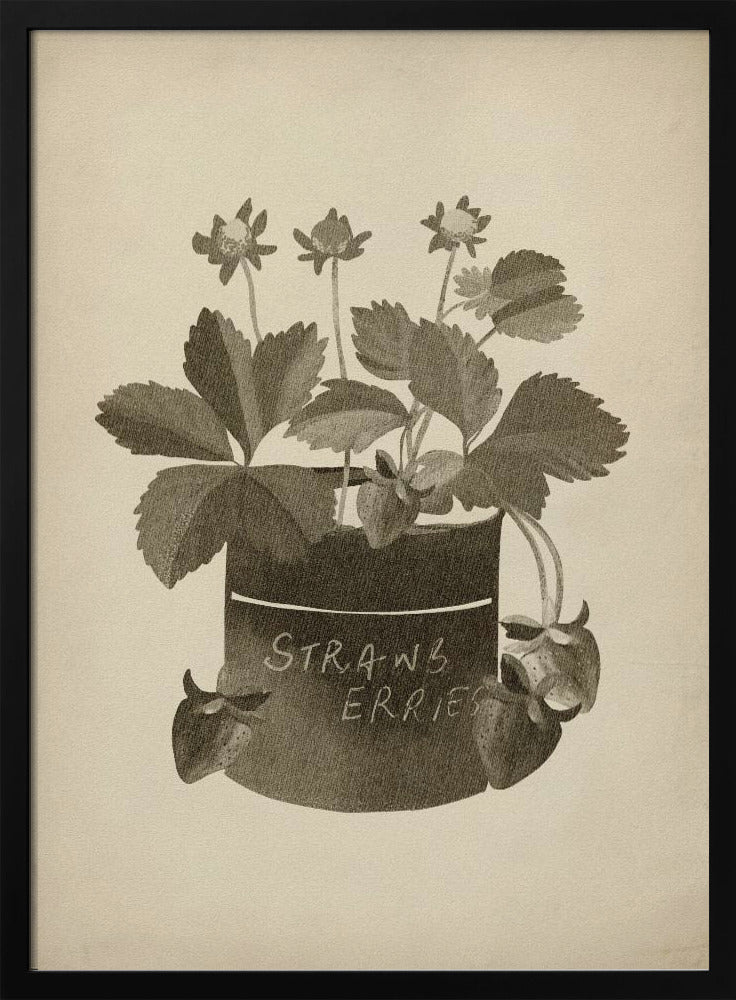 Vintage strawberry plant | Poster