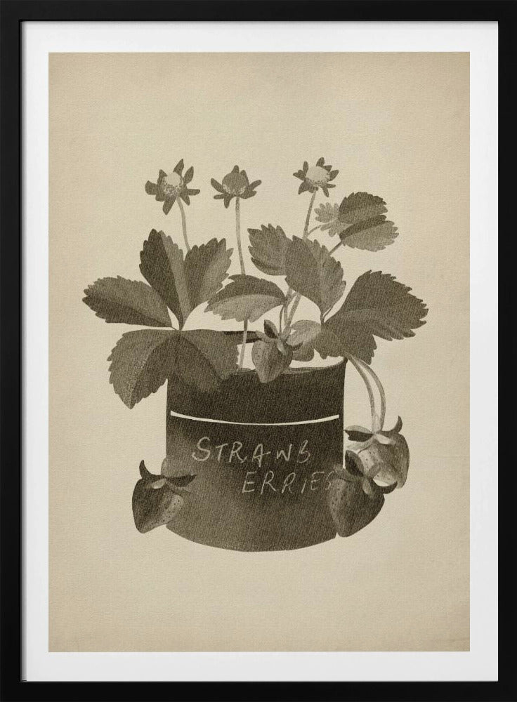 Vintage strawberry plant | Poster