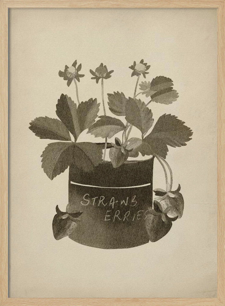 Vintage strawberry plant | Poster
