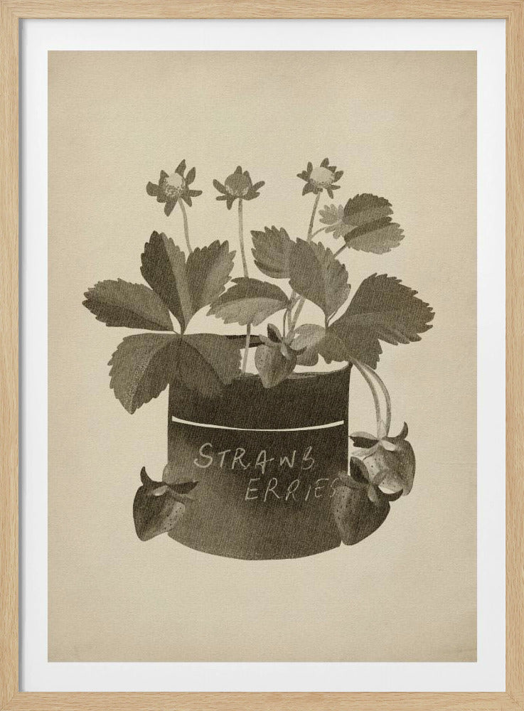 Vintage strawberry plant | Poster