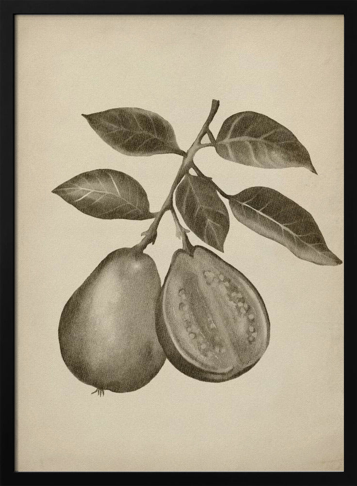 Vintage fruit | Poster
