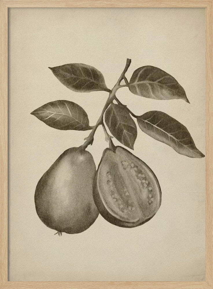 Vintage fruit | Poster