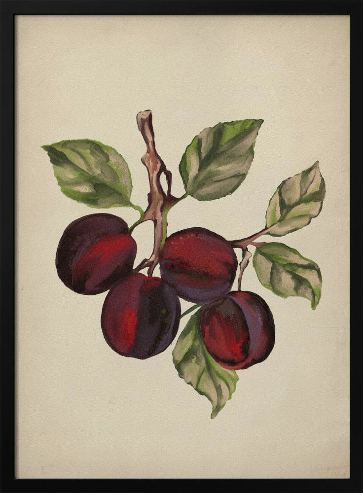 Vintage fruit collection | Poster
