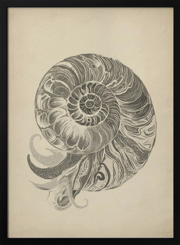 Project (20241106123057) | Poster