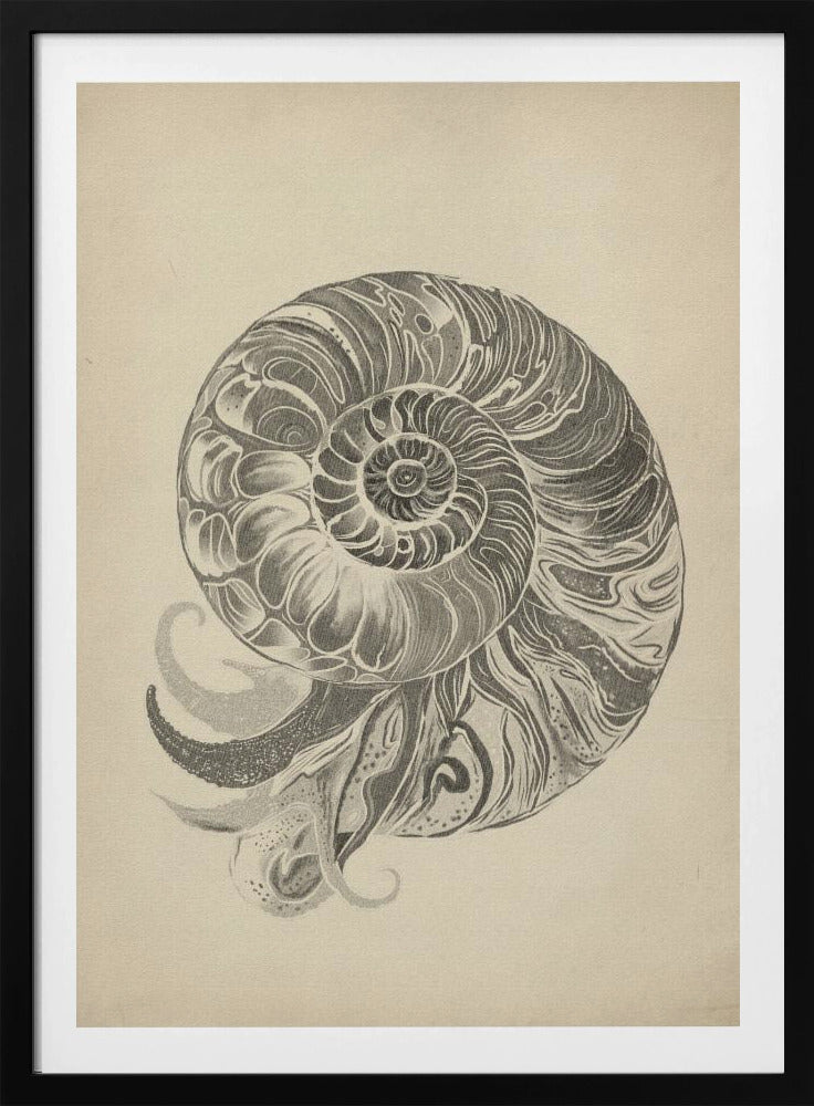 Project (20241106123057) | Poster