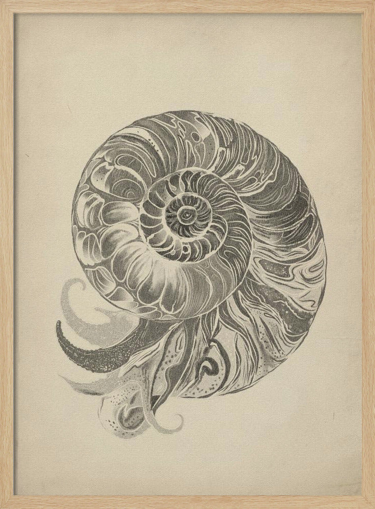 Project (20241106123057) | Poster