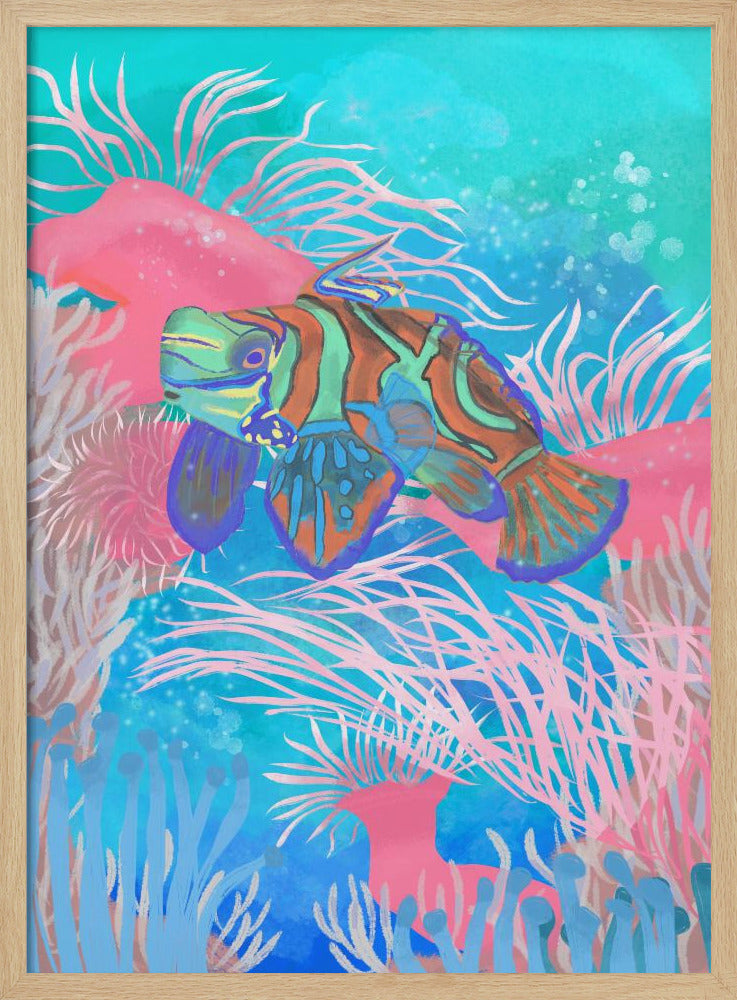 Mandarinfish | Poster