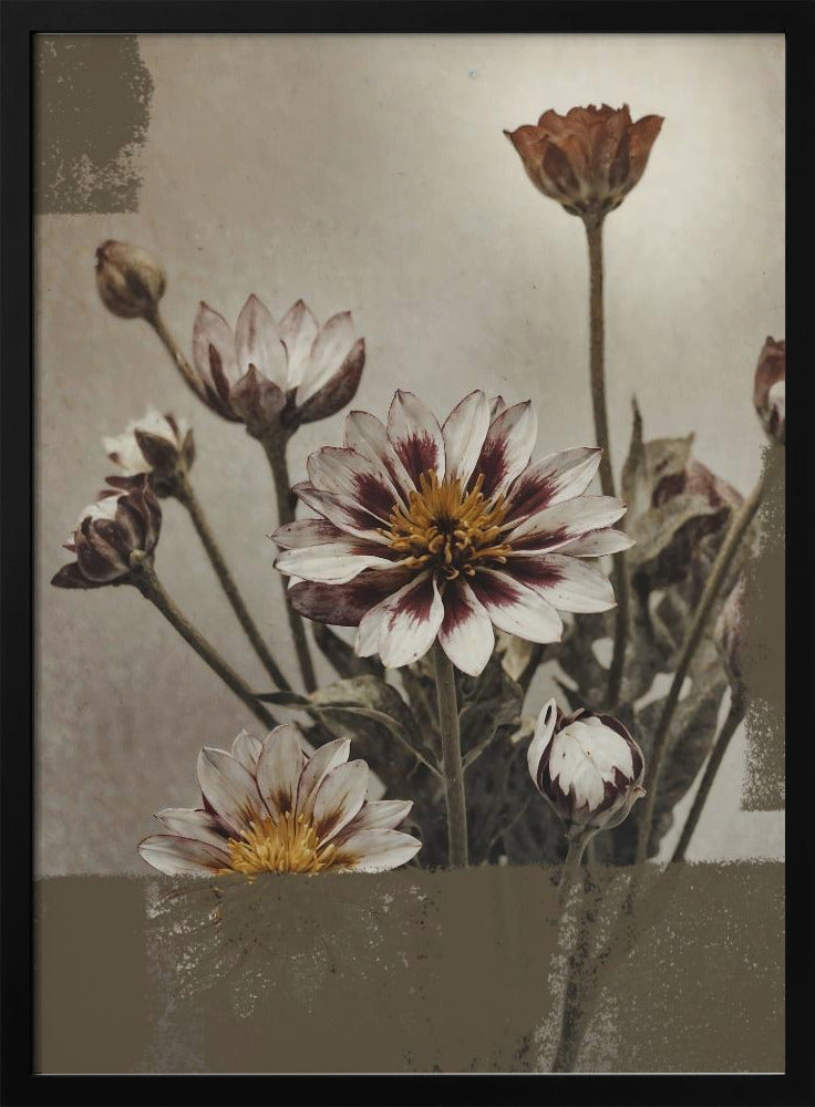 5 Vintage Flowers | Poster