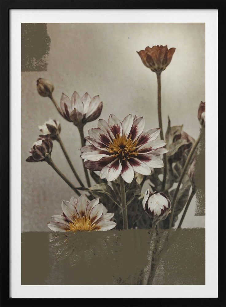 5 Vintage Flowers | Poster