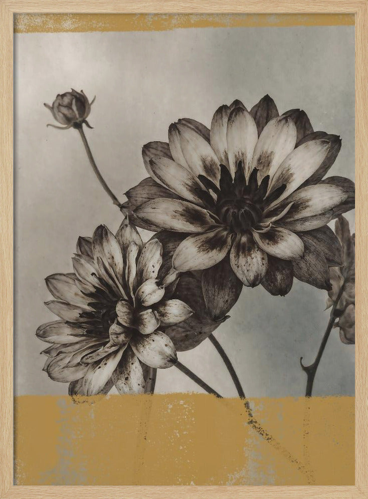 Vintage Flowers No.6 | Poster