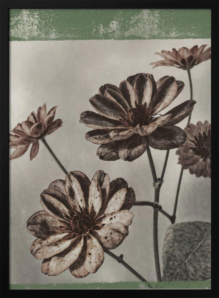 Vintage Flowers No.7 | Poster