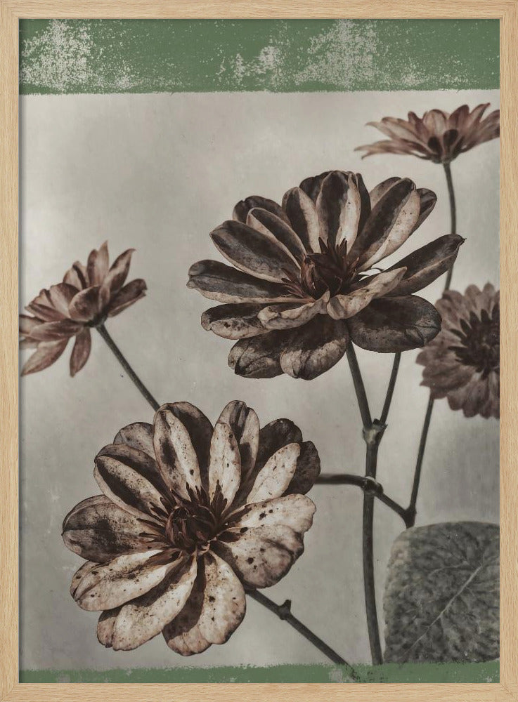 Vintage Flowers No.7 | Poster