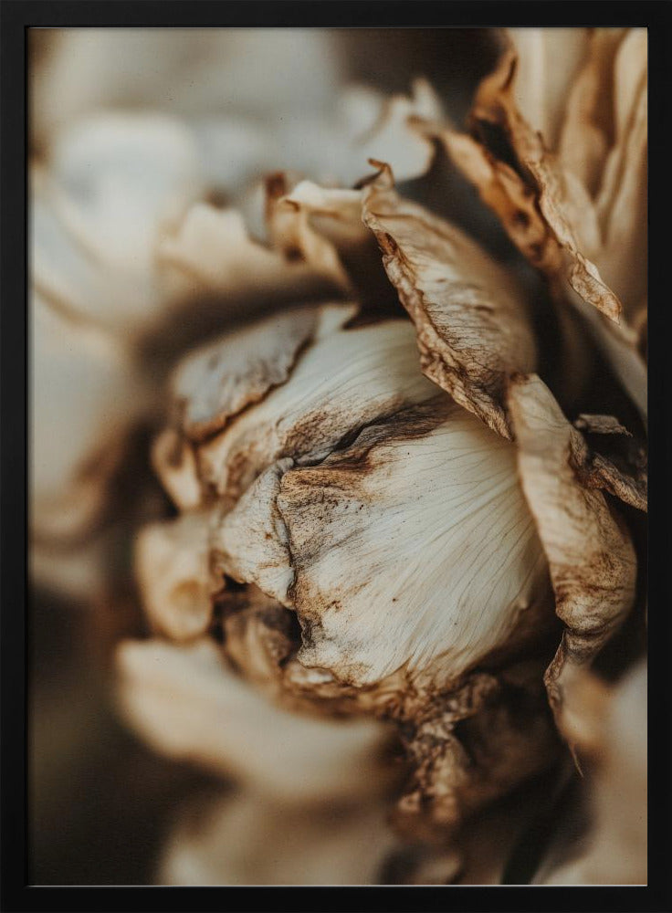 Whispering Petals | Poster