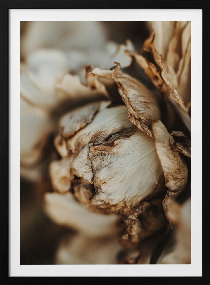 Whispering Petals | Poster