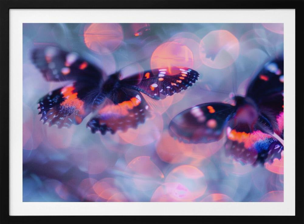 Butterfly Dreams | Poster