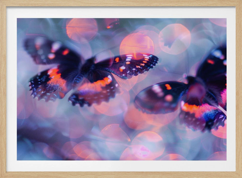 Butterfly Dreams | Poster