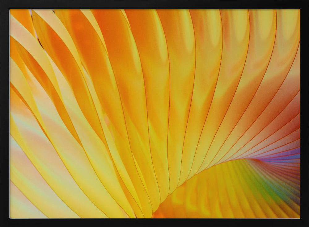 Golden Spirals | Poster