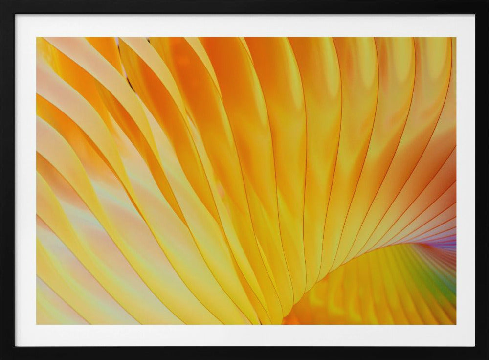 Golden Spirals | Poster