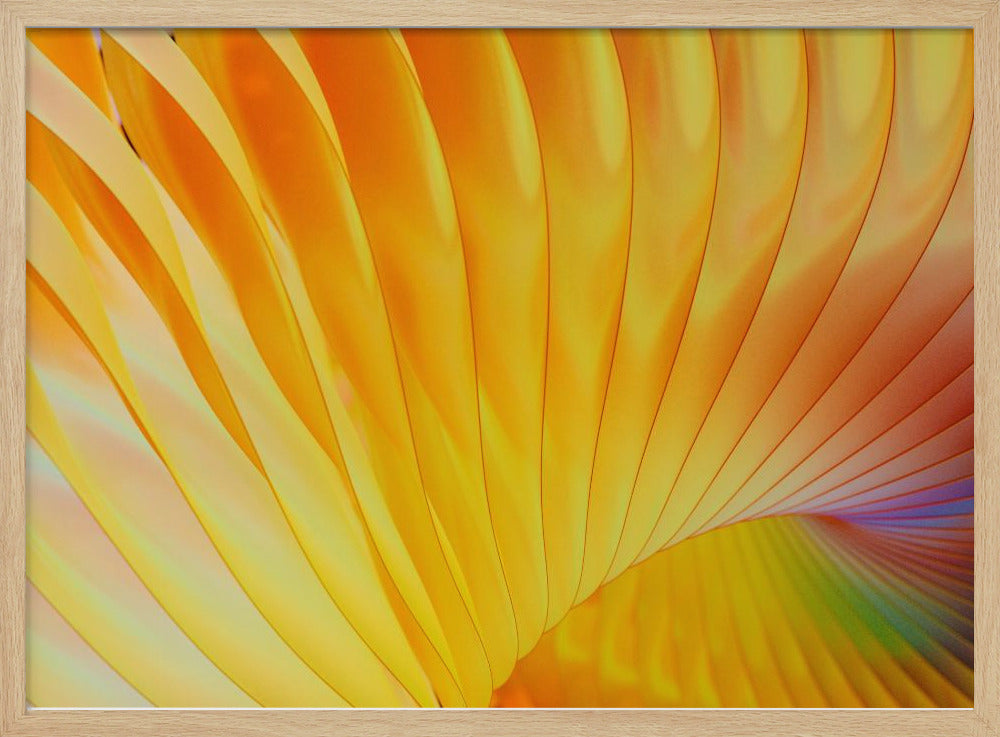 Golden Spirals | Poster