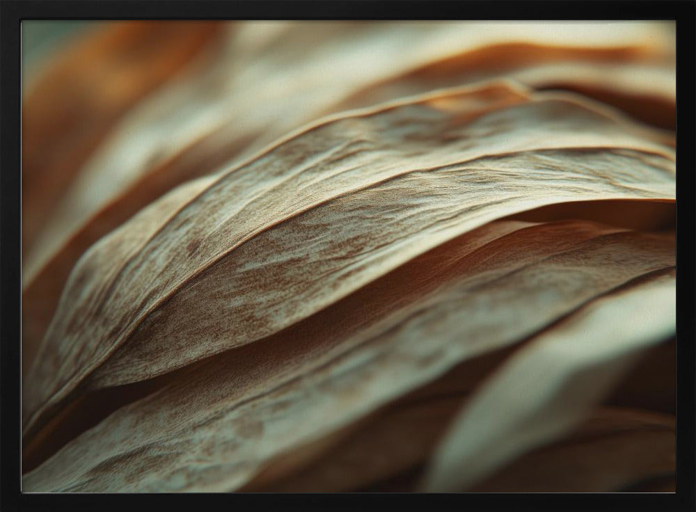 Rippling Petals | Poster